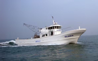 17.1M Barco de pesca comercial de fibra de vidrio comercial con diesel y hélice