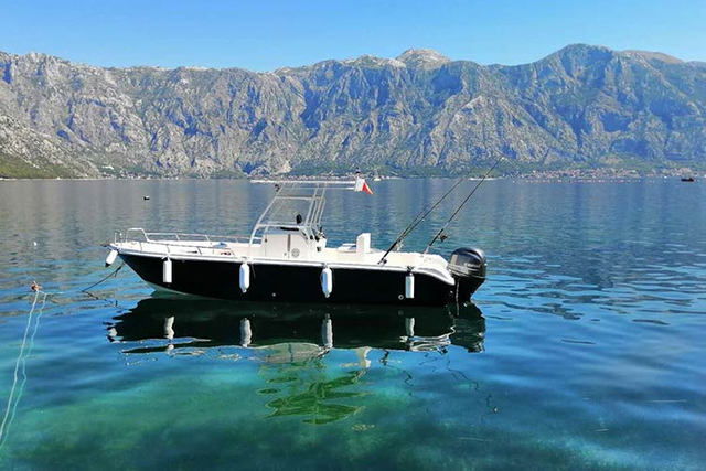 barco-de-pesca-deportiva-profesional-con-camarote-o-abierto-con-t-top-o-hard-top9